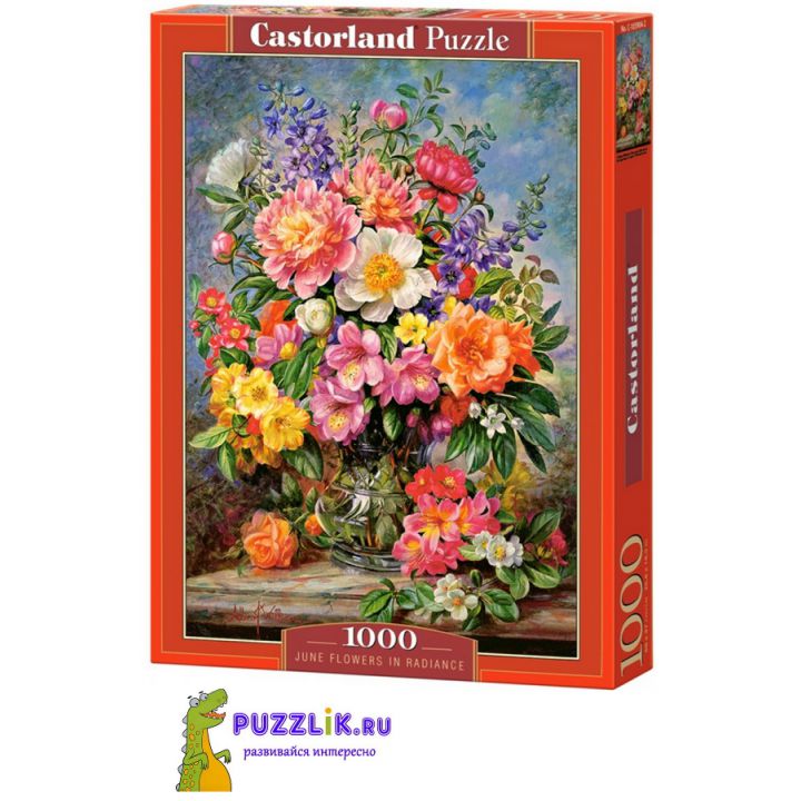 Пазл Castorland: «Цветы. Натюрморт» 1000 Эл (C-103904)