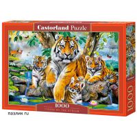 Пазлы Castorland: «Семья тигров у ручья» 1000 Эл (C-104413)