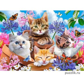 Пазлы Castorland: «Котята в цветах» 120 Эл (В-13524)