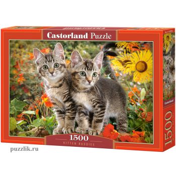 Пазлы Castorland: «Две кошки» 1500 Эл (C-151899)