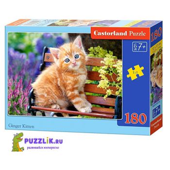 Пазл Castorland: «Маленький котенок» 180 Эл (B-018178)