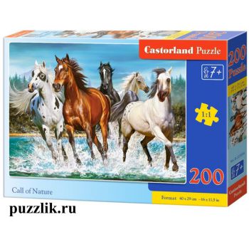 Пазл Castorland: «Лошади» 200 Эл (В-222056)