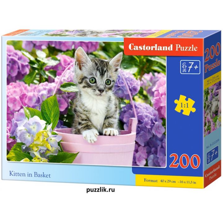 Пазлы Castorland: «Котенок в корзине» 200 Эл (B-222209)