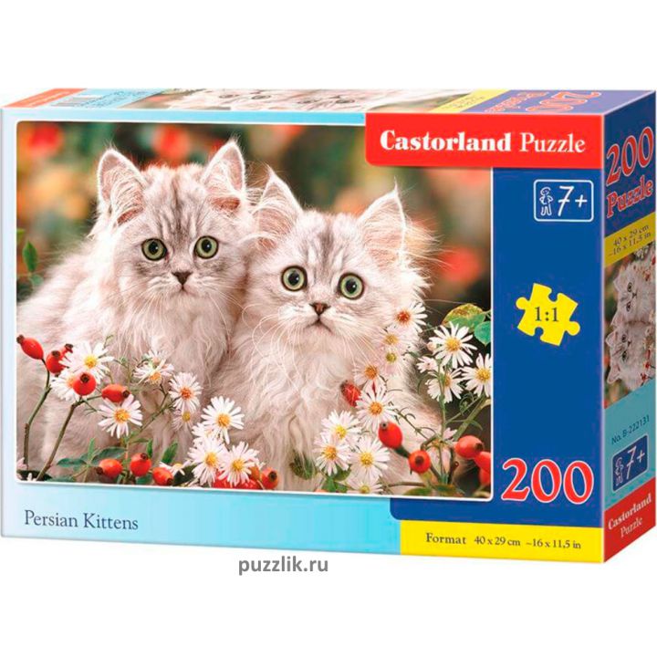 Пазлы Castorland: «Персидские котята» 200 Эл (В-222131)