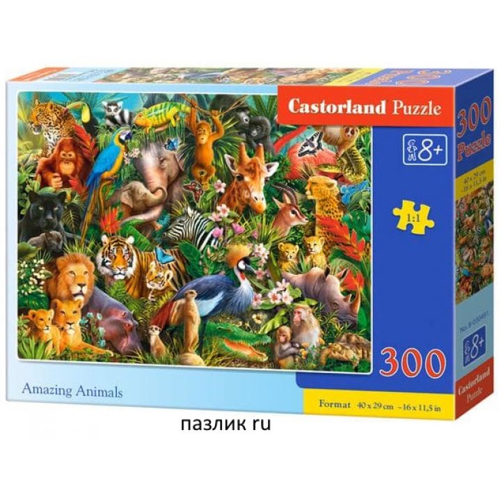 Пазлы с животными Castorland: «Удивительные животные» 300 Эл (B-030491)