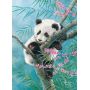 Пазлы Castorland: «Мечты панды» 70 Эл (B-070183)