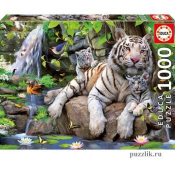 Пазлы EDUCA «Белые Бенгальские Тигры» 1000 Эл (14808)