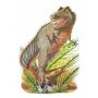 Пазлы Melissa and Doug «Тираннозавр Rex» 48 Эл (0431)